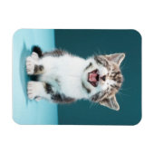Niedliche Kleintiere | Meaning Baby Kitten Magnet (Horizontal)