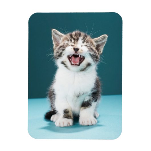 Niedliche Kleintiere | Meaning Baby Kitten Magnet (Vertikal)
