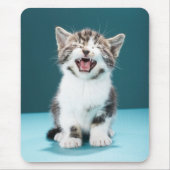Niedliche Kleintiere | Meaning Baby Kitten Mousepad (Vorne)