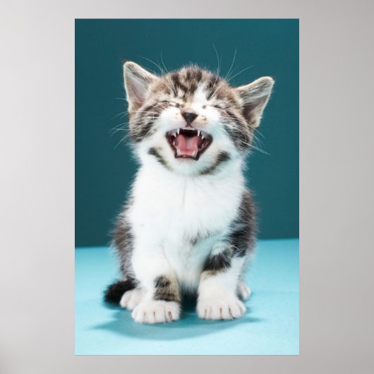 Niedliche Kleintiere | Meaning Baby Kitten Poster (Vorne)