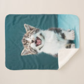 Niedliche Kleintiere | Meaning Baby Kitten Sherpadecke (Vorderseite (Horizontal))