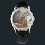 Niedliche Kleintiere | Mini-Dackel Welpe Armbanduhr<br><div class="desc">Dieses niedliche Getty Images Foto verfügt über eine Mini-Dackel-Welpe.</div>