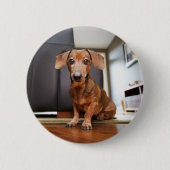 Niedliche Kleintiere | Mini-Dackel Welpe Button (Vorderseite)