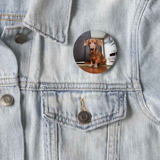 Niedliche Kleintiere | Mini-Dackel Welpe Button (Beispiel)