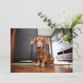 Niedliche Kleintiere | Mini-Dackel Welpe Dankeskarte (Stehend Vorderseite)