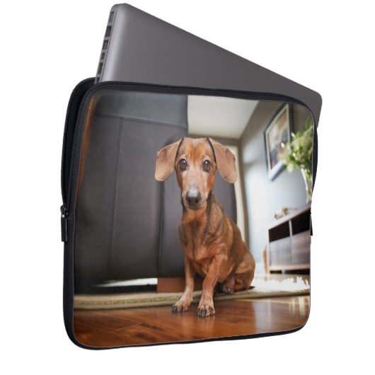 Niedliche Kleintiere | Mini-Dackel Welpe Laptopschutzhülle (Vorne Rechts)