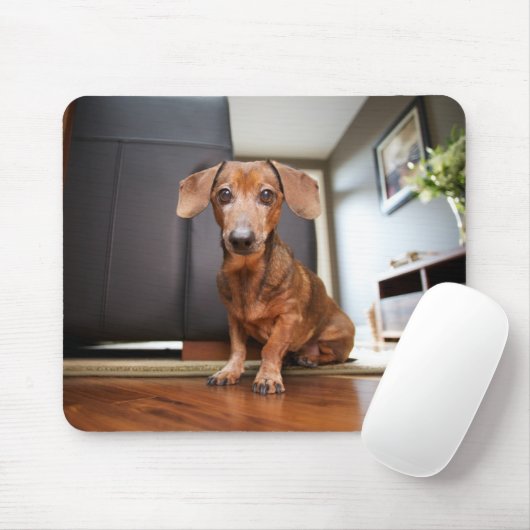 Niedliche Kleintiere | Mini-Dackel Welpe Mousepad (Mit Mouse)