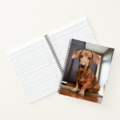 Niedliche Kleintiere | Mini-Dackel Welpe Notizblock (Innenseite)