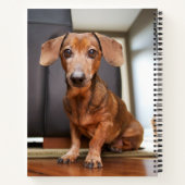 Niedliche Kleintiere | Mini-Dackel Welpe Notizblock (Rückseite)