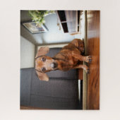 Niedliche Kleintiere | Mini-Dackel Welpe Puzzle (Vertikal)