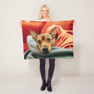 Niedliche Kleintiere   Miniature Pinscher Fleecedecke