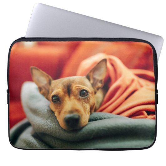 Niedliche Kleintiere | Miniature Pinscher Laptopschutzhülle (Vorderseite)