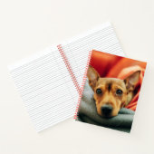 Niedliche Kleintiere | Miniature Pinscher Notizblock (Innenseite)