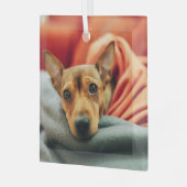 Niedliche Kleintiere | Miniature Pinscher Ornament Aus Glas (Vorderseite links)