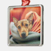 Niedliche Kleintiere | Miniature Pinscher Ornament Aus Metall (Links)