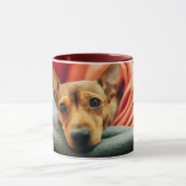 Niedliche Kleintiere | Miniature Pinscher Tasse (Zentrum)