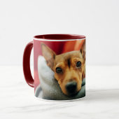 Niedliche Kleintiere | Miniature Pinscher Tasse (Vorderseite Links)
