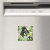 Niedliche Kleintiere | Mountain Gorilla Baby Magnet (In Situ (Geschirrspüler))