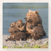 Niedliche Kleintiere | Mutter Bären & Cubs Glasuntersetzer (Vorderseite)