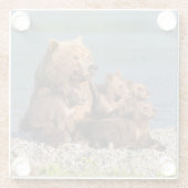 Niedliche Kleintiere | Mutter Bären & Cubs Glasuntersetzer (Rückseite)