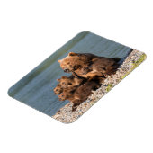 Niedliche Kleintiere | Mutter Bären & Cubs Magnet (Linke Seite)