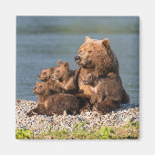 Niedliche Kleintiere | Mutter Bären & Cubs Magnet (Vorne)