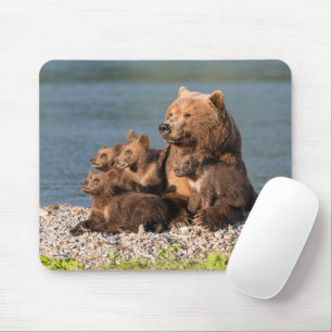 Niedliche Kleintiere Mutter Bären & Cubs Mousepad