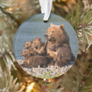 Niedliche Kleintiere Mutter Bären & Cubs Ornament