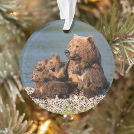 Niedliche Kleintiere | Mutter Bären & Cubs Ornament (Baum)