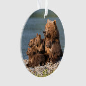 Niedliche Kleintiere | Mutter Bären & Cubs Ornament (Vorderseite)