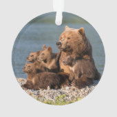Niedliche Kleintiere | Mutter Bären & Cubs Ornament (Rückseite)
