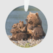Niedliche Kleintiere | Mutter Bären & Cubs Ornament (Vorderseite)