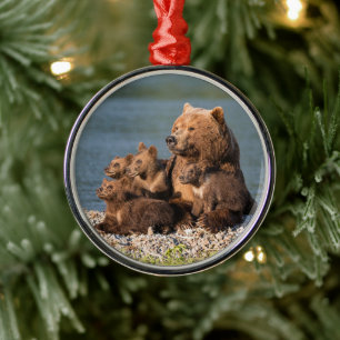 Niedliche Kleintiere   Mutter Bären & Cubs Ornament Aus Metall