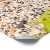 Niedliche Kleintiere | Mutter Bären & Cubs Poster (Ecke)