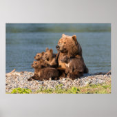 Niedliche Kleintiere | Mutter Bären & Cubs Poster (Vorne)