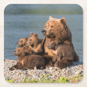 Niedliche Kleintiere   Mutter Bären & Cubs Rechteckiger Pappuntersetzer
