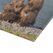 Niedliche Kleintiere | Mutter Bären & Cubs Schneidebrett (Ecke)