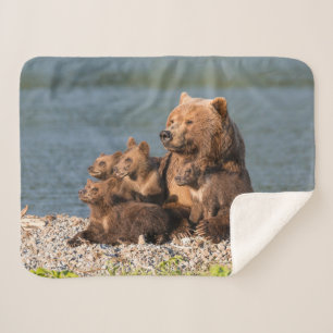 Niedliche Kleintiere Mutter Bären & Cubs Sherpadecke