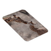 Niedliche Kleintiere | Mutter und Baby Giraffe Magnet (Rechte Seite)