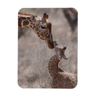 Niedliche Kleintiere Mutter und Baby Giraffe Magnet