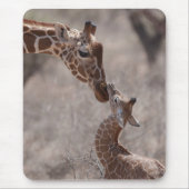 Niedliche Kleintiere | Mutter und Baby Giraffe Mousepad (Vorne)