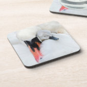 Niedliche Kleintiere | Mutter und Baby Mute Swan Getränkeuntersetzer (Linke Seite)
