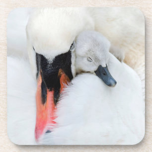 Niedliche Kleintiere Mutter und Baby Mute Swan Getränkeuntersetzer