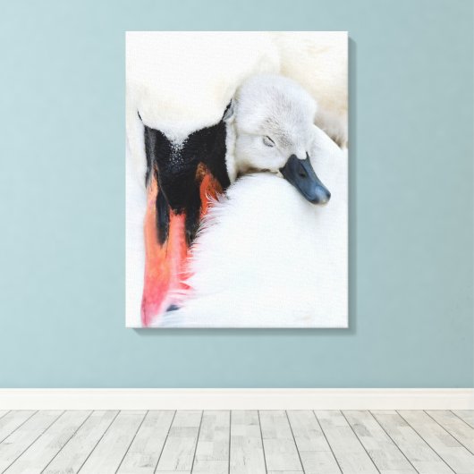 Niedliche Kleintiere | Mutter und Baby Mute Swan Leinwanddruck (Insitu (Holzboden))