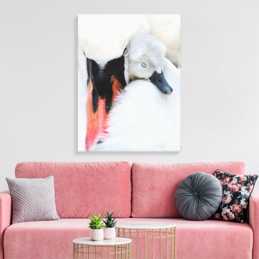Niedliche Kleintiere | Mutter und Baby Mute Swan Leinwanddruck (Insitu (Wohnzimmer))