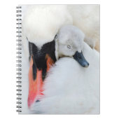 Niedliche Kleintiere | Mutter und Baby Mute Swan Notizblock (Vorderseite)