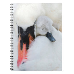 Niedliche Kleintiere   Mutter und Baby Mute Swan Notizblock