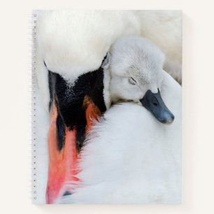 Niedliche Kleintiere Mutter und Baby Mute Swan Notizblock