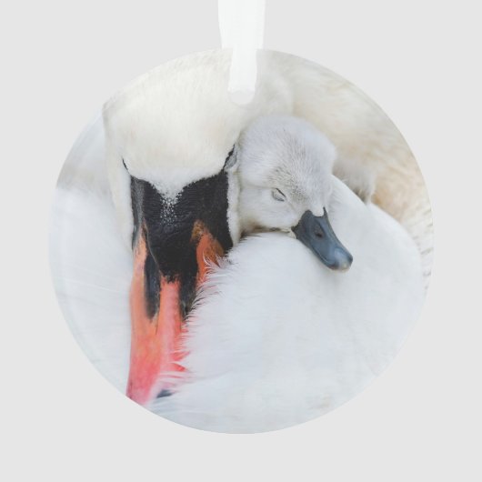 Niedliche Kleintiere | Mutter und Baby Mute Swan Ornament (Rückseite)
