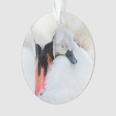 Niedliche Kleintiere | Mutter und Baby Mute Swan Ornament (Vorderseite)